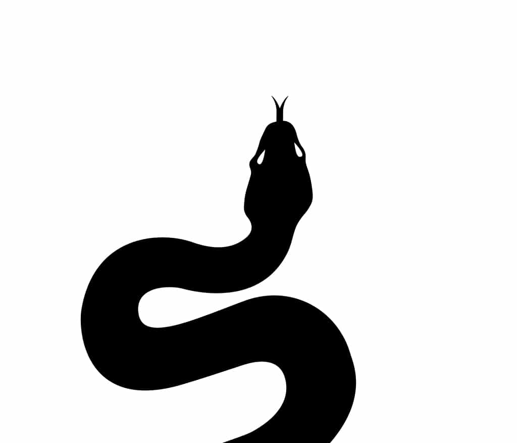 Spiriti Occulti - Black Snake